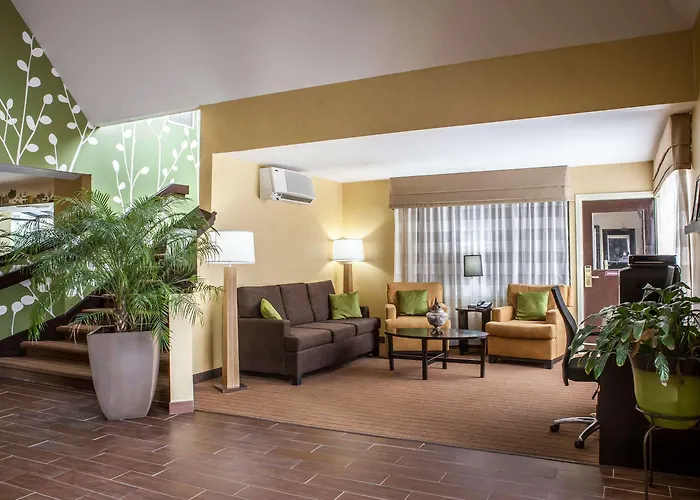 Sleep Hanes Mall